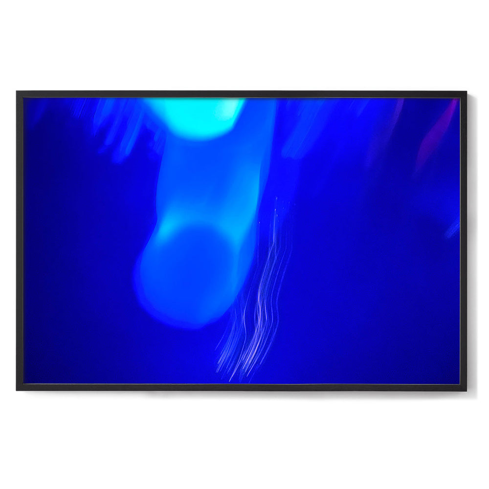 Blue Bounce