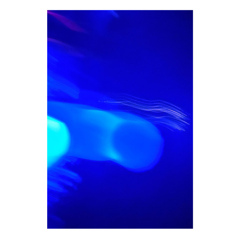 Blue Bounce